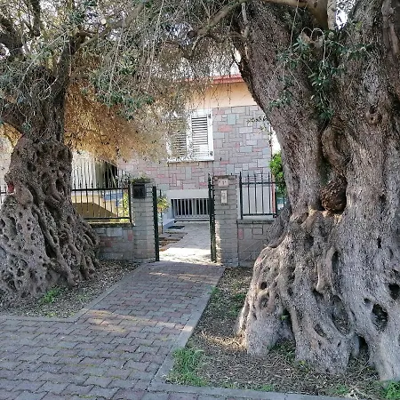 La Casa Degli Ulivi 아파트 *